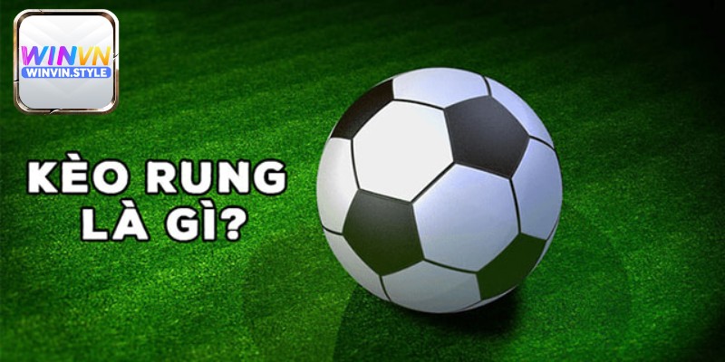 Các hình thức cược trong kèo rung là gì