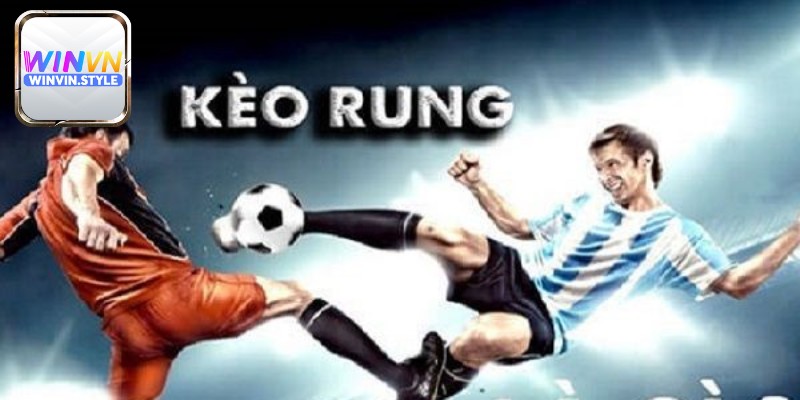 Kinh nghiệm soi kèo rung là gì để thắng lớn